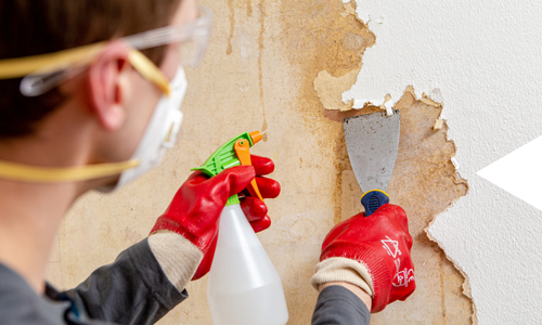 Chemical Stripping Wallpaper Removal in Dubai
