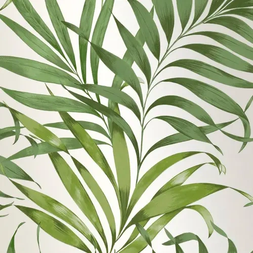Leaves wallpaper in Dubai